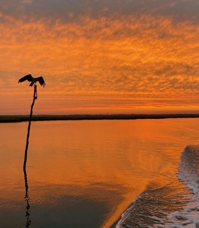 Bay Sunset
