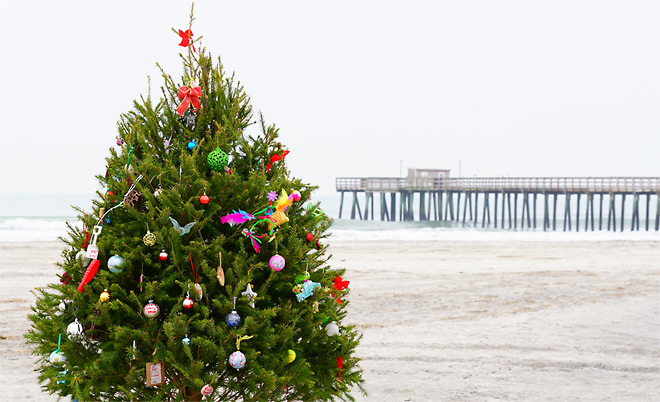 Beach Christmas Tree